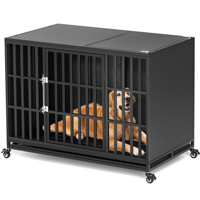 Tucker Murphy Pet Dornisha Heavy Duty Dog Crate with Self Locking Latch and Enclosed Design for High Anxiety Dogs Reviews Wayfair